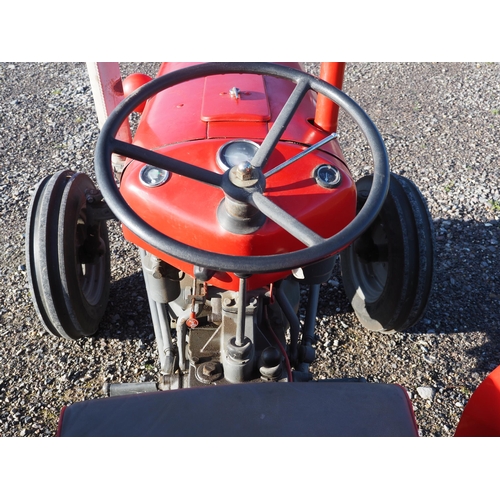 482 - Massey Ferguson 35 tractor. 1962. Runs and drives. 3 Cylinder. C/w Good tyres and roll frame. Has do... 