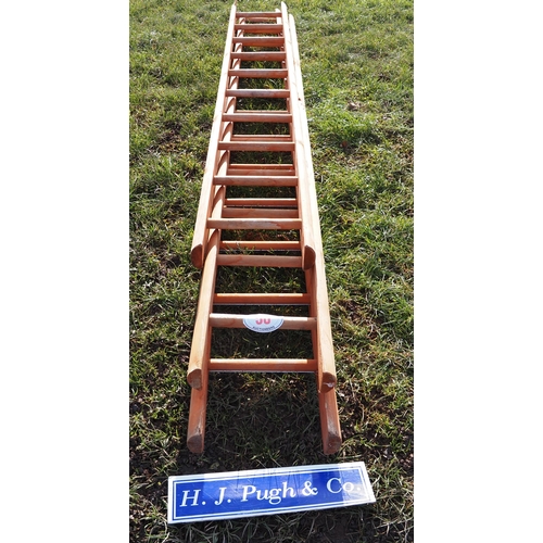 50 - Wooden ladders