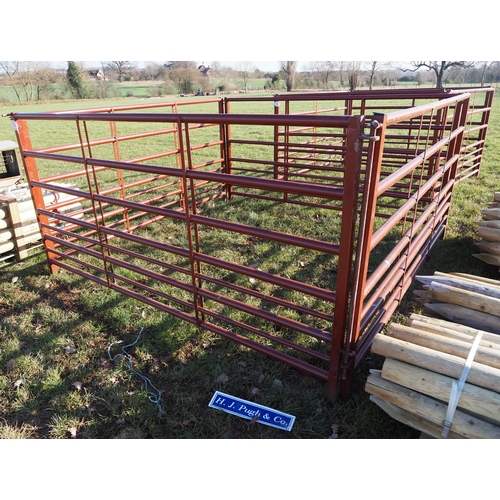 1147 - 10ft Cattle hurdles - 4