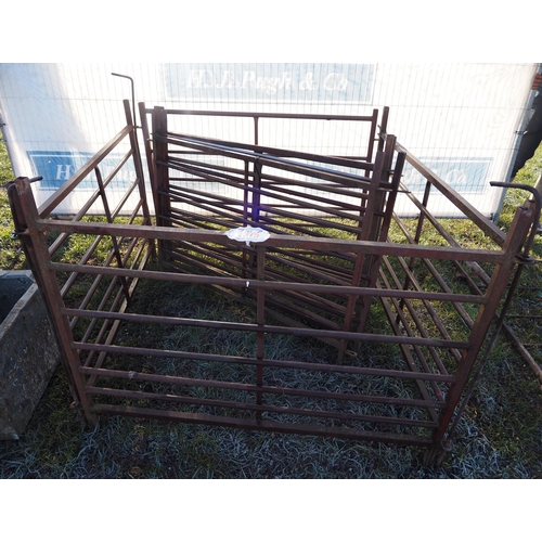 1375 - 4ft Sheep hurdles - 8