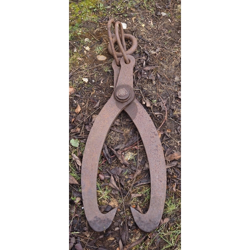 432 - Timber lifting scissors