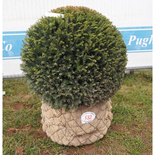 132 - Taxus ball 70cm - 1