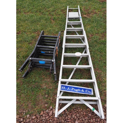 704 - Step ladder and adjustable ladder