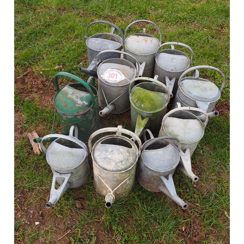 301 - Quantity of galvanised watering cans