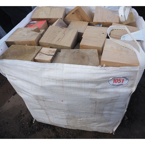 1051 - Bag of hardwood offcuts