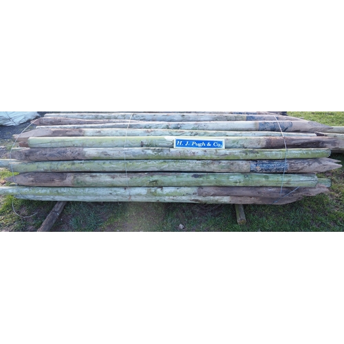 1119 - Bundle of hop poles