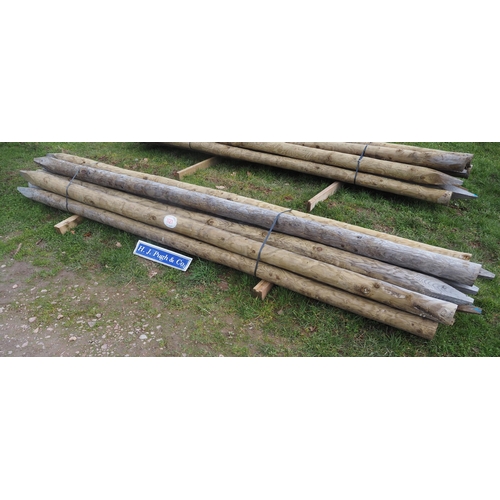 1121 - Pointed poles 12ft - 10