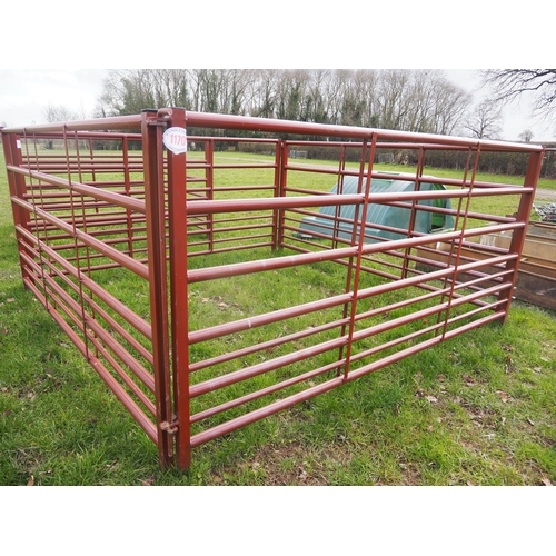 1170 - 10ft Cattle hurdles - 4