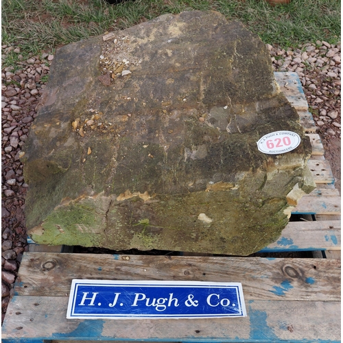 620 - Large rockery stone