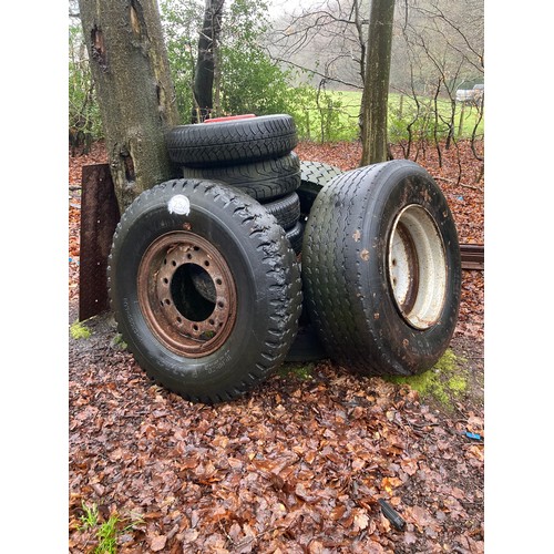 252 - Wheels and tyres in woodland