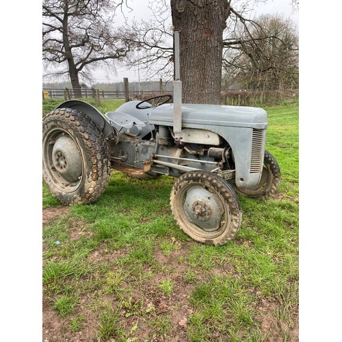 1526A - Ferguson TED tractor. On rear grass tyres Petrol TVO. Runs. Hydraulics work. SN 392051