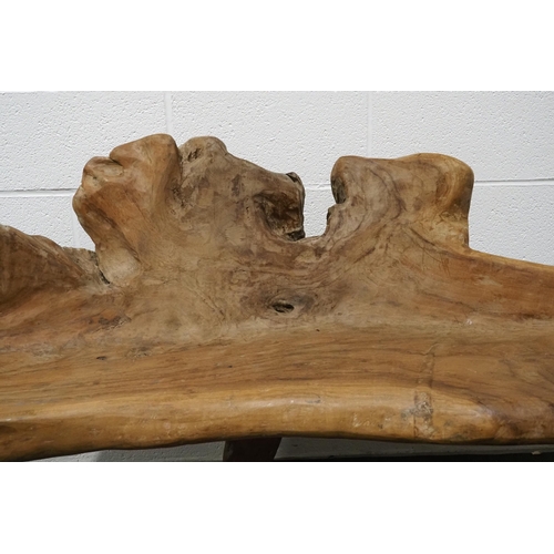 63 - Large polished drift wood bench 72