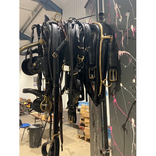 1371 - Set of patent leather show harness, Cobb size