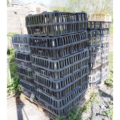 91 - Plastic poultry crates -18