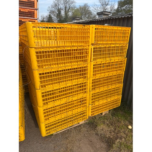 161 - Plastic poultry baskets -12