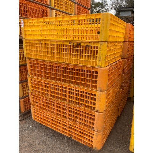 158 - Plastic poultry baskets -12