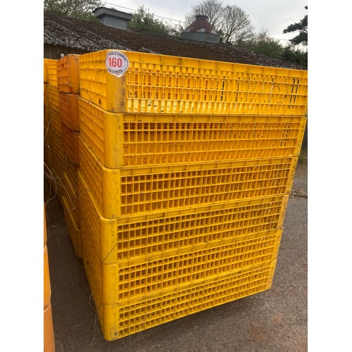 160 - Plastic poultry baskets -12