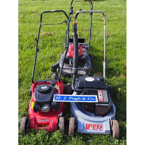 425 - Lawn mowers - 2