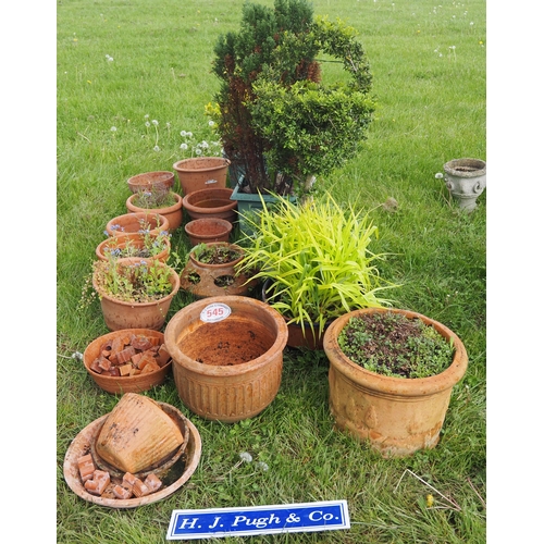 545 - Terracotta pots