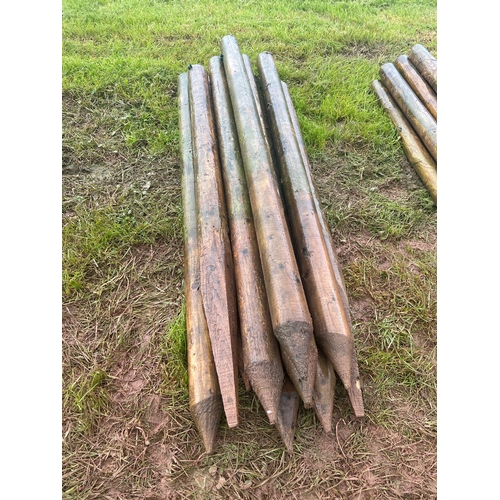 1264 - Fencing posts 5ft-10