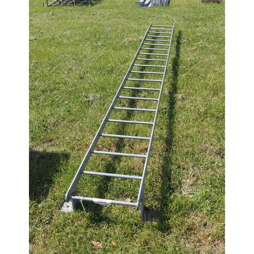 382 - Galvanised steel ladder 16ft