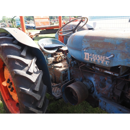 1837 - Fordson Diesel Major tractor. Fitted with roll frame, good rear tyres