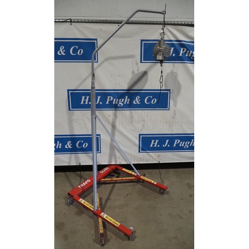 368 - Light weight mobile crane with winch