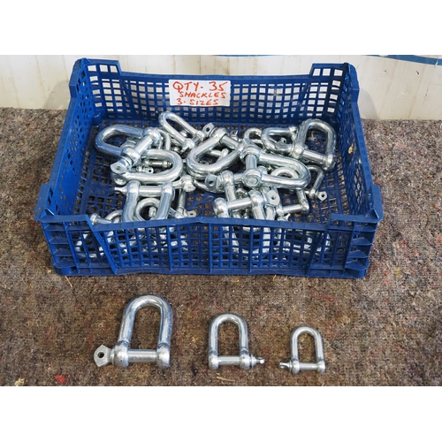 1173 - Assorted shackles - 35