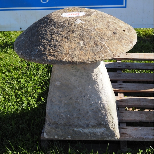 300 - Staddle stone 22