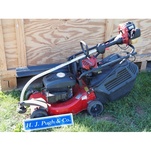 612 - Champion mower, hedge cutter and strimmer