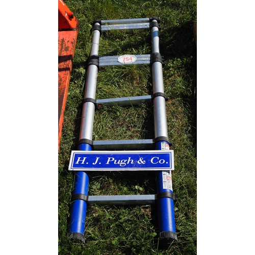 754 - Extending ladder