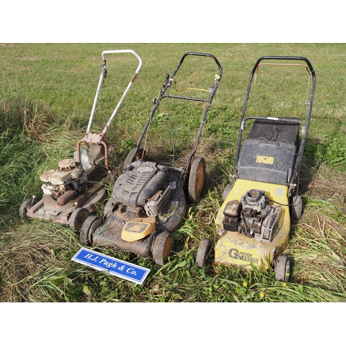 293 - Various mower - 3