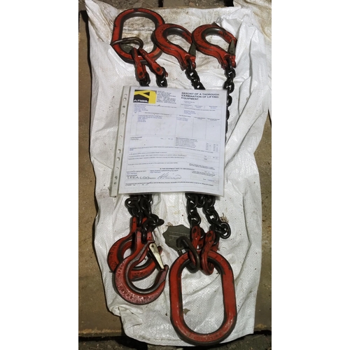46 - Two leg 850mm lifting chains, tested 18/8/23