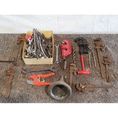 229 - Assorted pipe wrenches, spanners, funnel and other hand tools