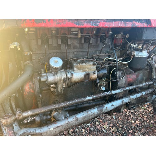 1549 - Massey Ferguson FE35. French. 4 Cylinder. New wiring, new front panels. Many new parts fitted. In ne... 