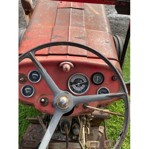 813 - Massey Ferguson 135 tractor. off local fruit farm, Reg. LDF 272P