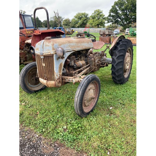 815 - Ford Ferguson petrol tractor