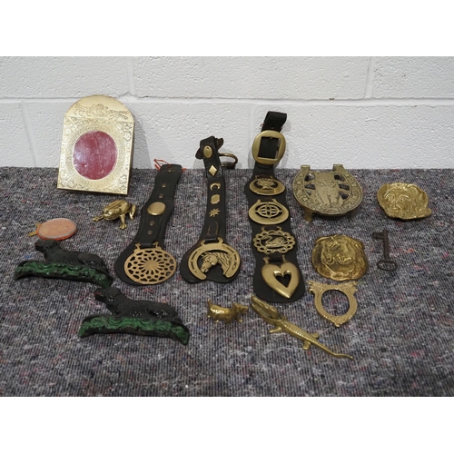 48 - Brass items to include dog ashtrays, frames, horse brasses, etc.
