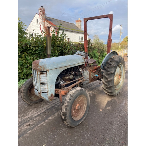 143 - Ferguson TEF tractor. Diesel. Engine turns over. Fitted with roll frame. S/n 466700. Good restoratio... 