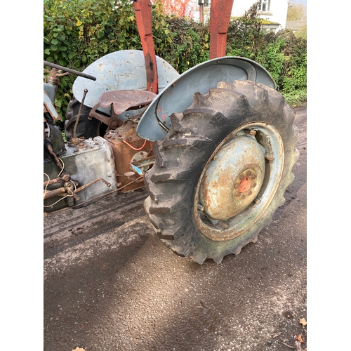 143 - Ferguson TEF tractor. Diesel. Engine turns over. Fitted with roll frame. S/n 466700. Good restoratio... 