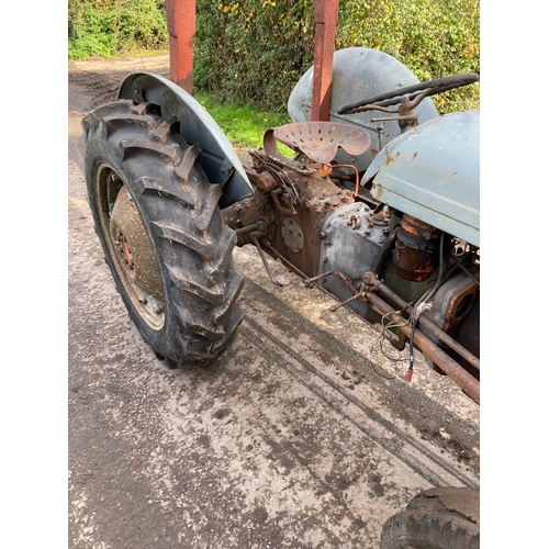 143 - Ferguson TEF tractor. Diesel. Engine turns over. Fitted with roll frame. S/n 466700. Good restoratio... 