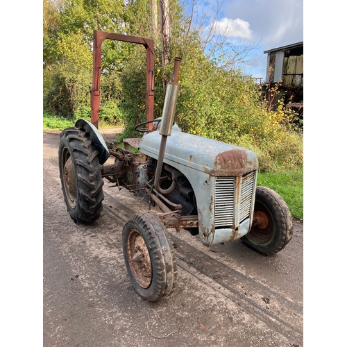 143 - Ferguson TEF tractor. Diesel. Engine turns over. Fitted with roll frame. S/n 466700. Good restoratio... 