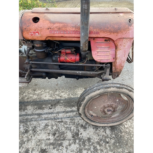 145 - Massey Ferguson 35 4 cylinder tractor. Runs and drives. Showing 6088 Hours. No docs