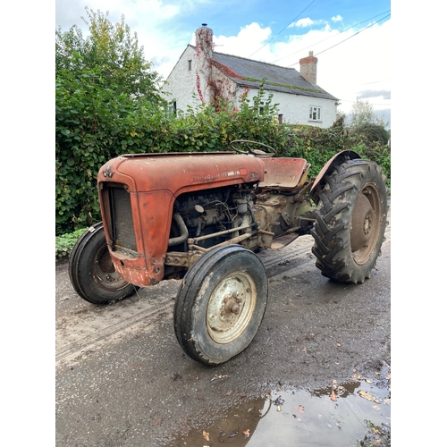 146 - Massey Ferguson 35 4 cylinder tractor. Runs and drives. Good restoration project. No docs