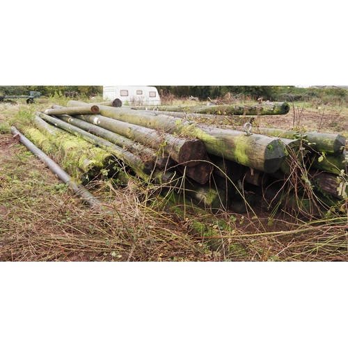 160 - Large quantity of telegraph poles