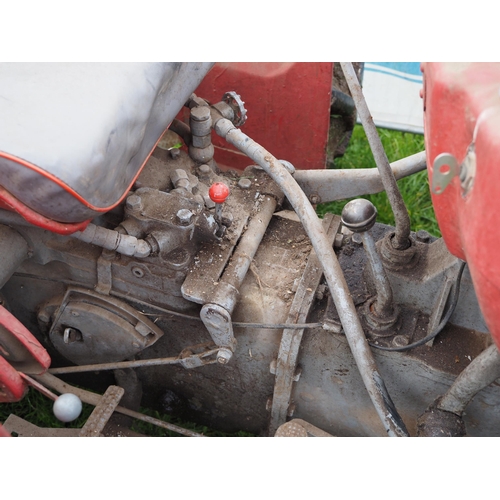 81 - Massey Ferguson 135 tractor. Fitted with front end loader, bucket and forks. Roll frame. Runs and dr... 