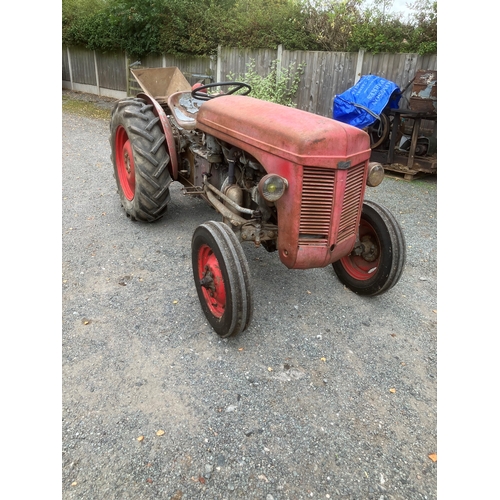527 - Ferguson TEK Vineyard tractor. Runs and drives. Key in office