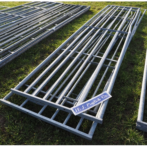 967 - Galvanised gates 15ft/16ft - 3