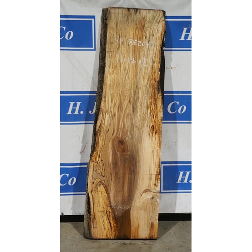 12 - Spalted Beech 71