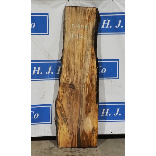 13 - Spalted Beech 71